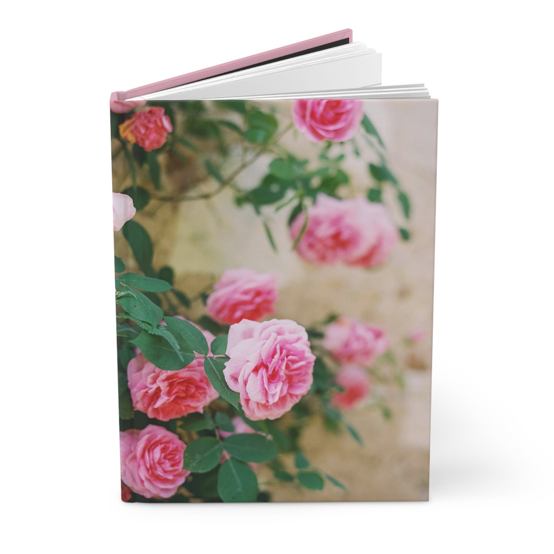 Paris Roses Notebook