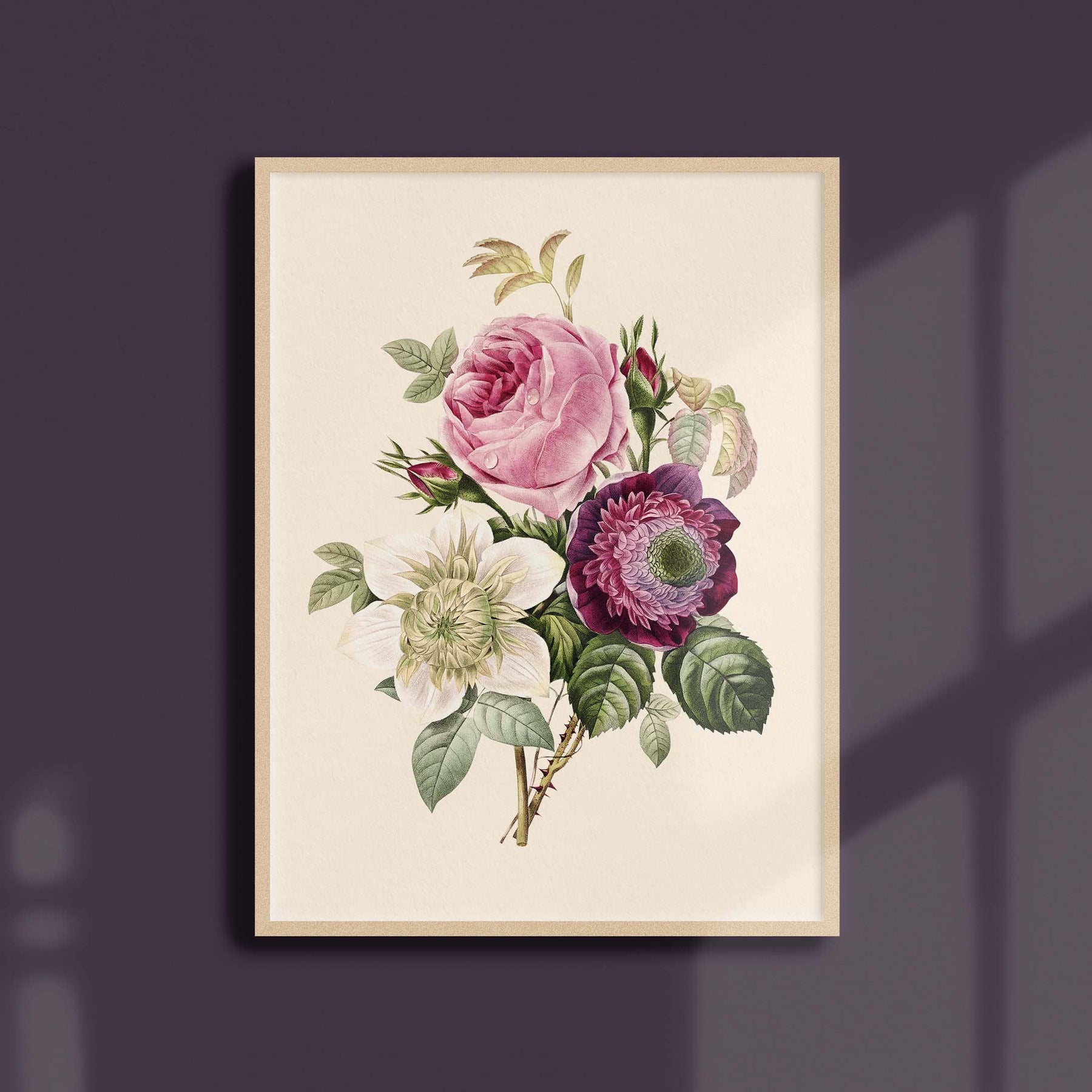21x30 Poster - Anemone and cabbage rose