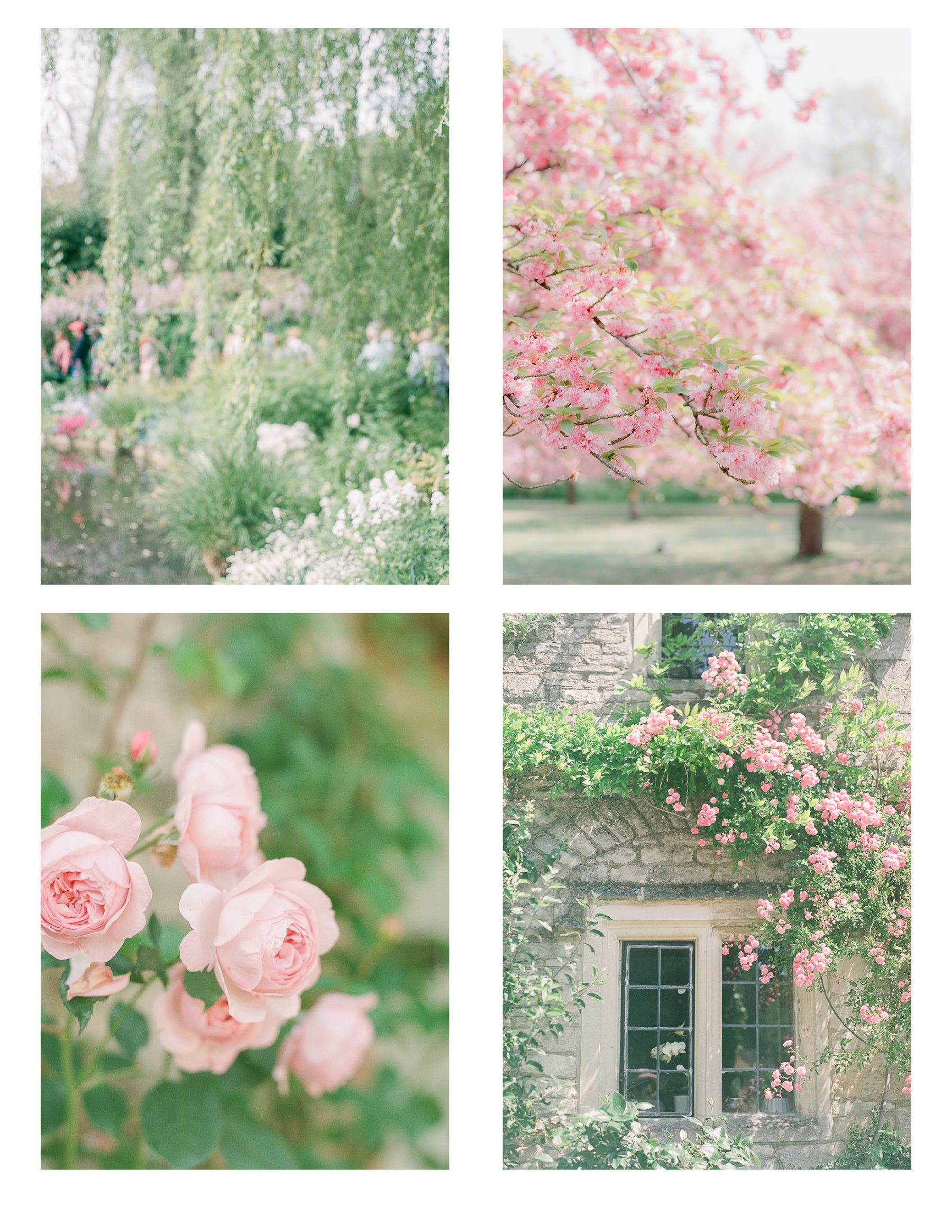 "Garden" Set of 4 Digital Download Prints