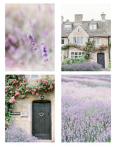 "Lavender" Set of 4 Digital Download Prints